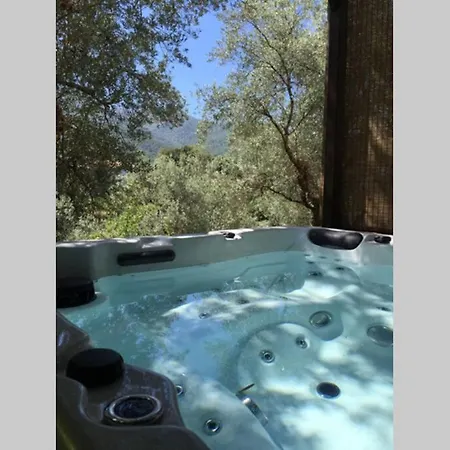 Livesi Lodge Appartement Plain-Pied 40M2 Pour 2 Avec Jacuzzi *